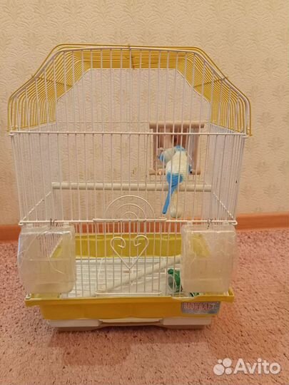 Клетка для волнистого попугая б/у