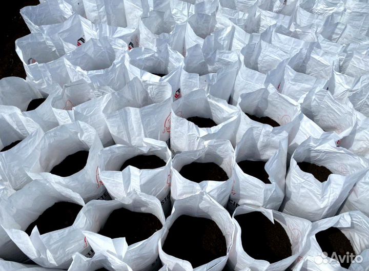 Навоз коровий в мешках