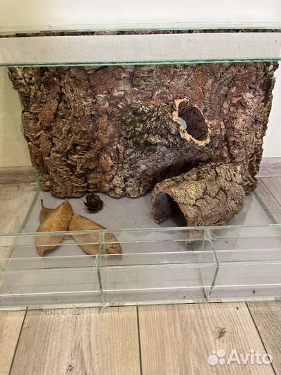 Домики (укрытие)для террариумных животных