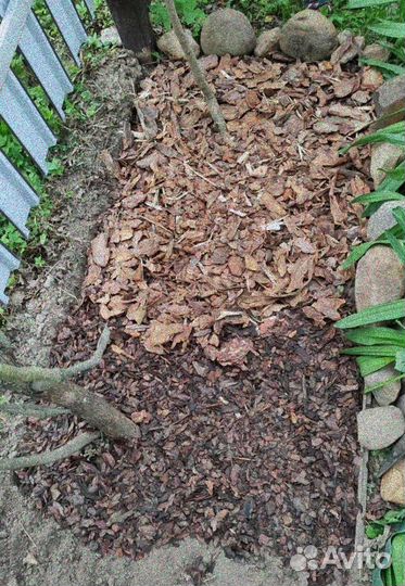 Мульча из коры сосны байкальской для декора крупна