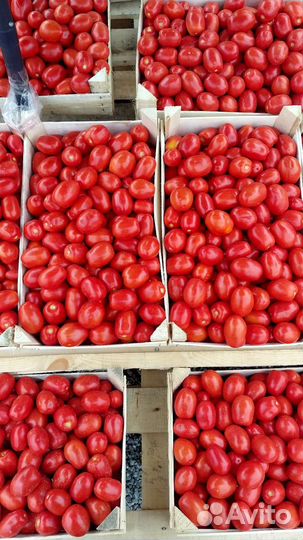 Помидоры пальчики,огурцы