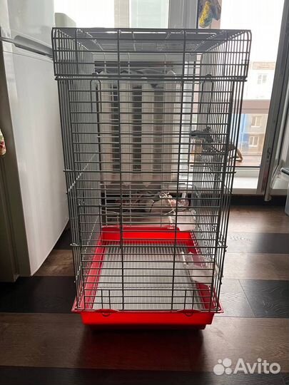 Клетка для попугая корелла