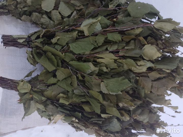 Веники березовые