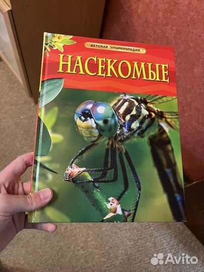 Книга для детей