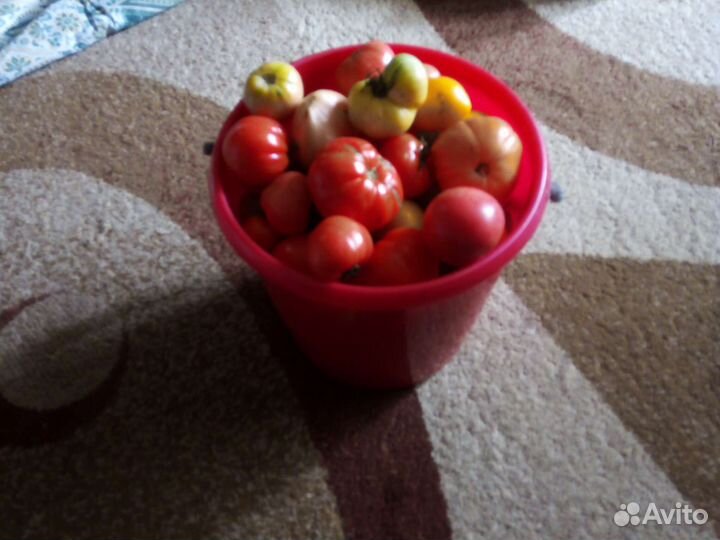 Томаты 10 литров. Помидоры