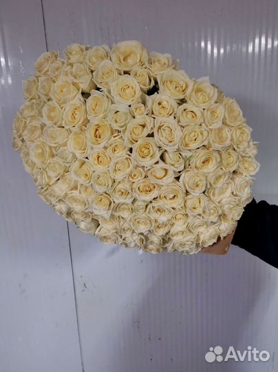 101 роза с доставкой, букет роз с доставкой