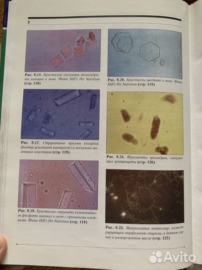 Практика ветерин врача. Нефрология и Урология