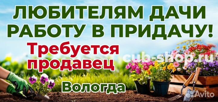 Продавец непродовольственных товаров