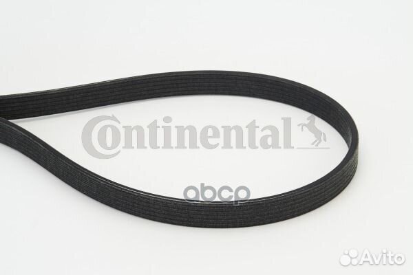 Ремень ручейковый 6DPK1817 Continental