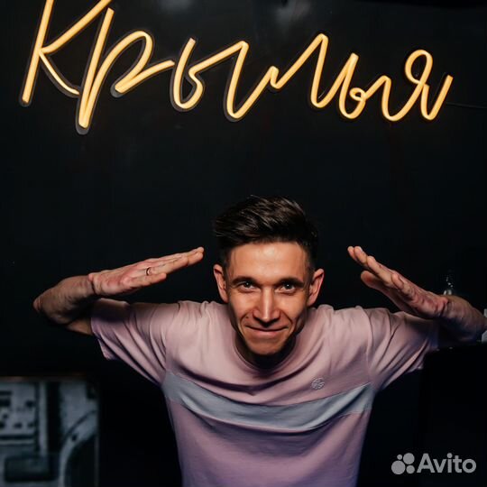 Dj диджей,свет, звук, технофан, проектор
