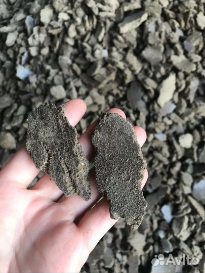 Жмых подсолнечный от производителя