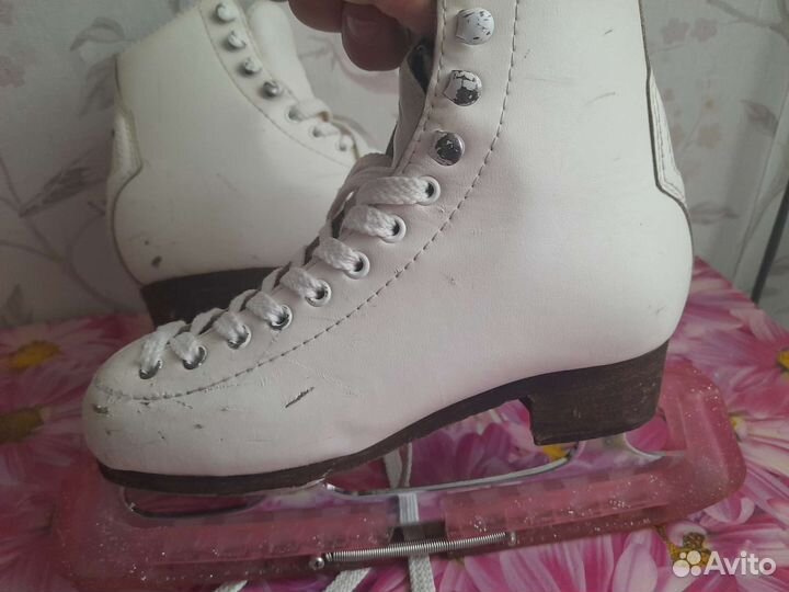 Коньки фигурные wifa