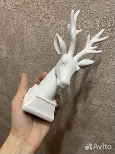Заяц