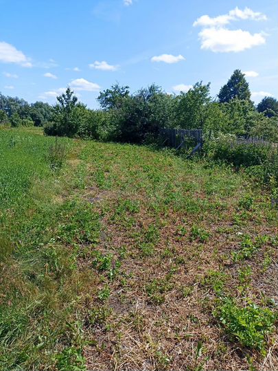 Дом 25 м² на участке 40 сот.