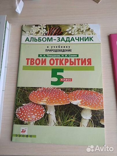 Рабочие тетради 2,5,кл
