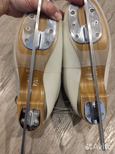 Фигурные коньки edea chorus 255