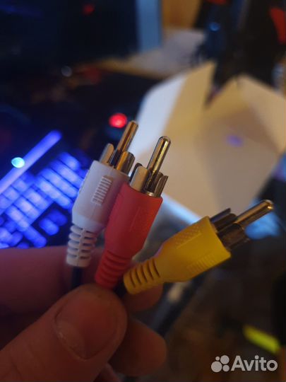 Кабли-Тюльпаны