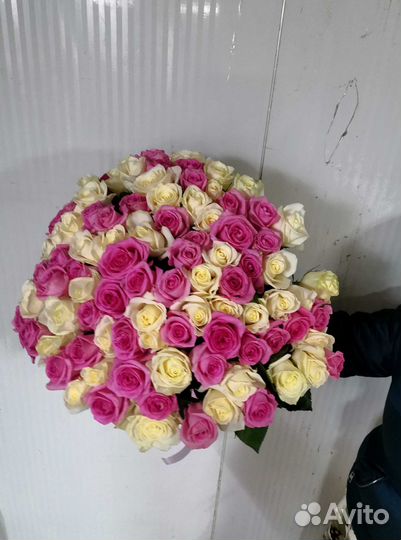 Букет роз. Розы 101 шт