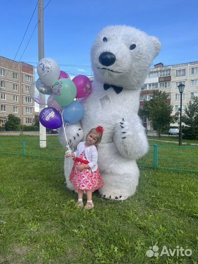 Белый мишка, зайка, чебурашка на праздник