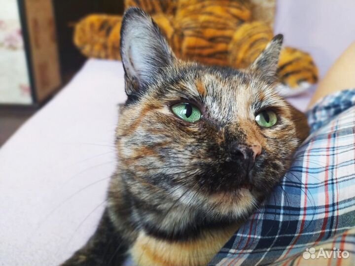 Бонечка ждет свою семью