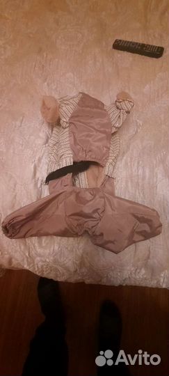 Собачья куртка