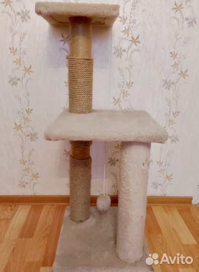 Когтеточка