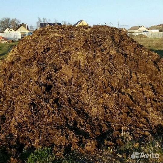 Навоз коровий