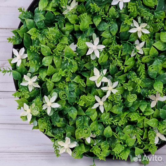 Картина, фитокартина