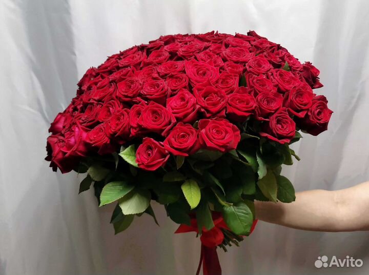 Розы, букет цветов 101 роза