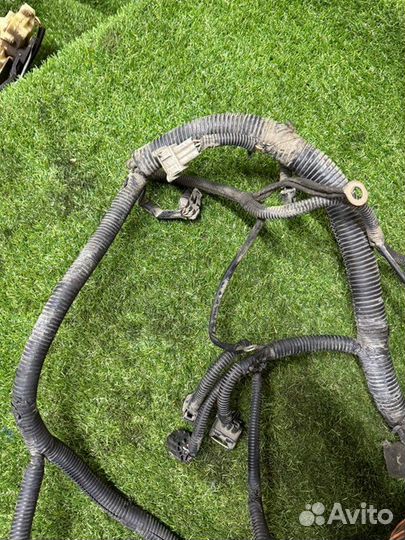 Проводка двс Chevrolet Aveo T250 B12S1 2008