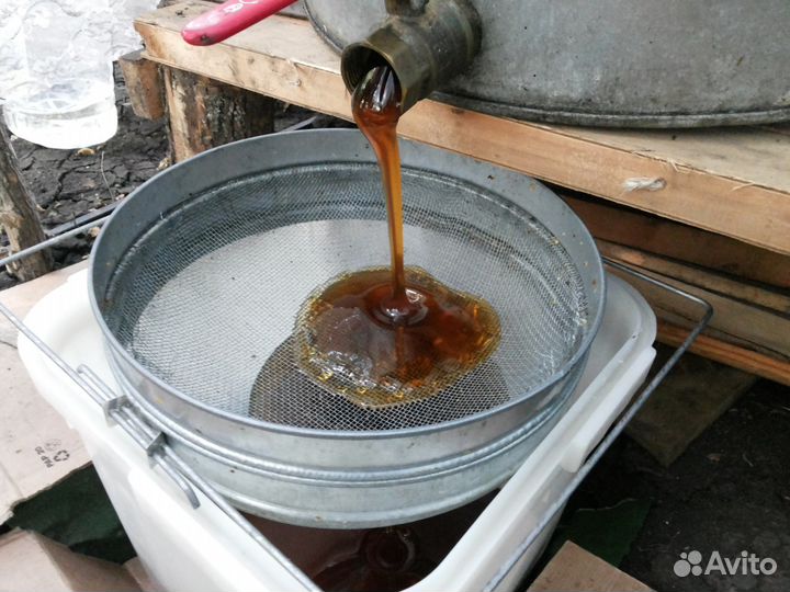 Продам мед 2023