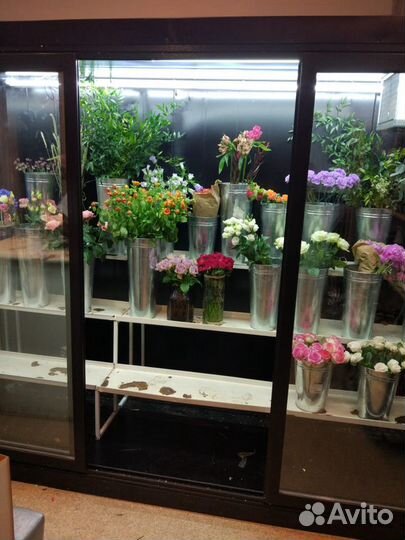 Холодильная камера для хранения и выставки цветов