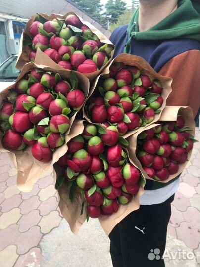 Доставка цветов пионы