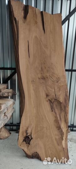 Слэб Термо Тополь