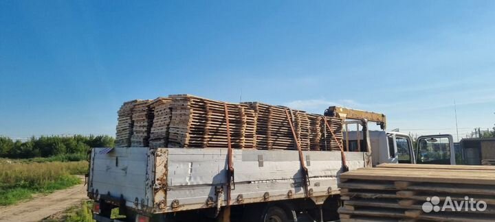 Хомутовые леса