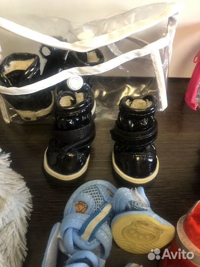 Вещи для собаки