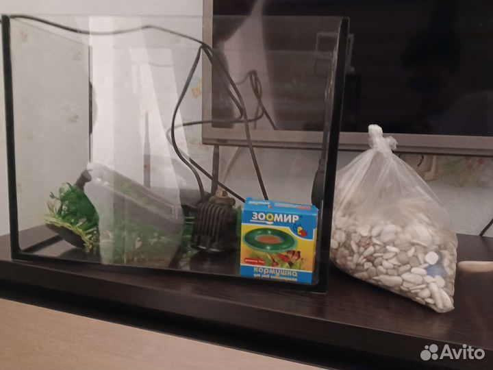Аквариум