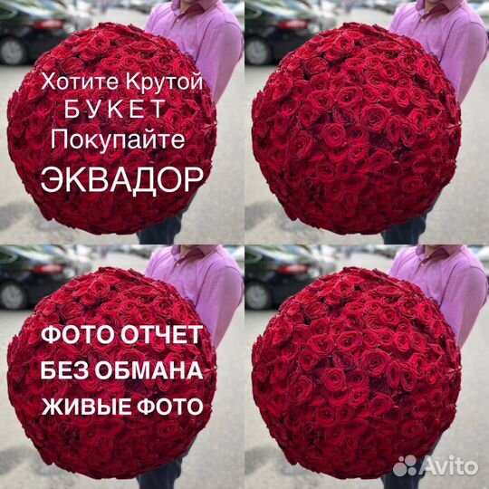 Розы 101 штука 70 см