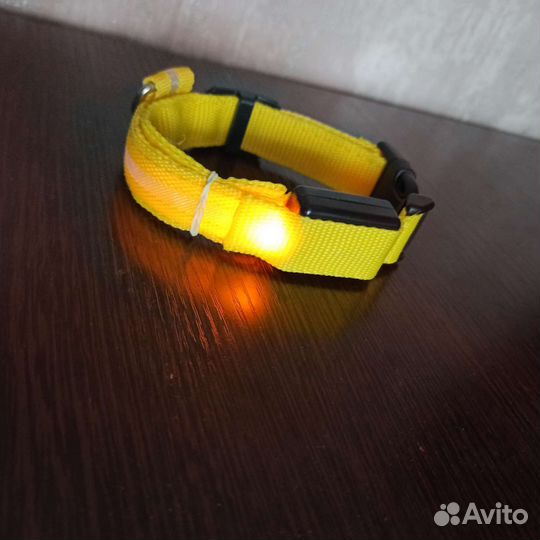 Ошейник светящийся