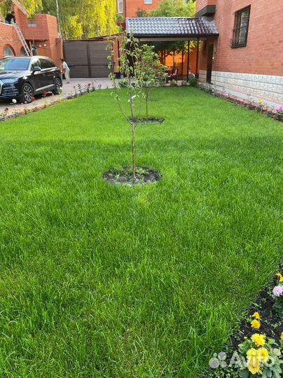 Рулонный газон спортивный