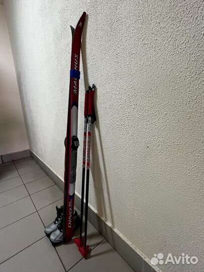 Лыжи беговые madshus