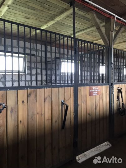 Приглашаем на постой