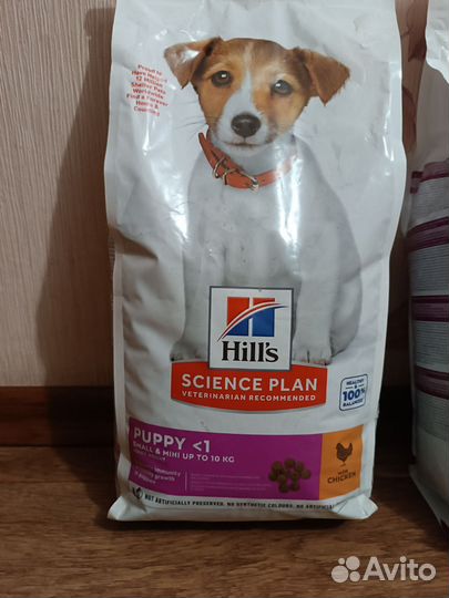 Сухой корм для собак хилс