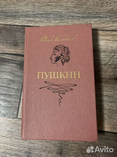 Пушкин книги