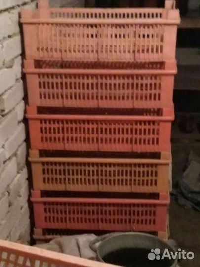 Ящик для хранения овощей и фруктов