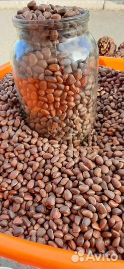 Кедровый орех