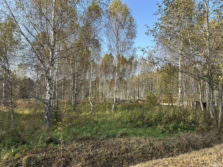 Участок 8,7 сот. (ИЖС)