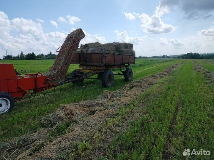 Сено в тюках