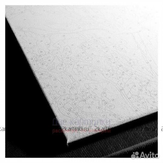 Картина по номерам 40x50 Енот с арбузом в желтых