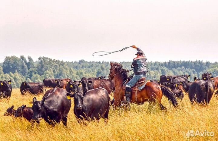 Рабояий (оператор) на ферму